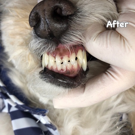 After After