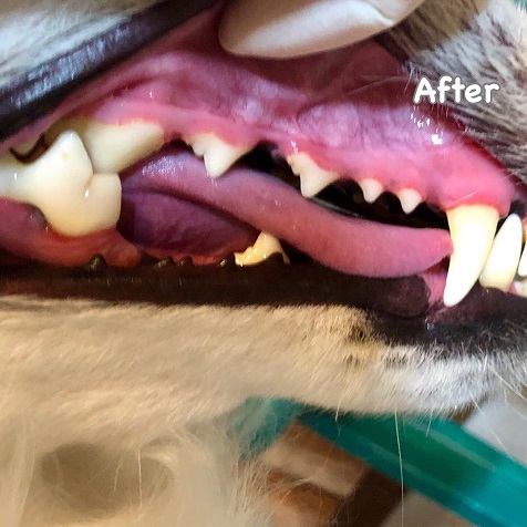 After After