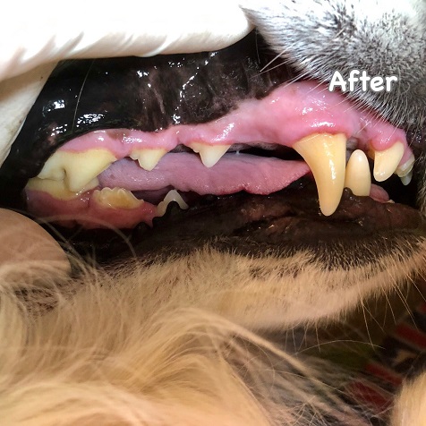 After After