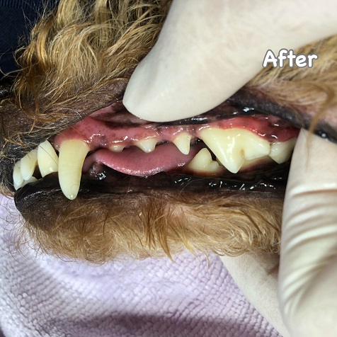 After After