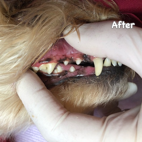 After After