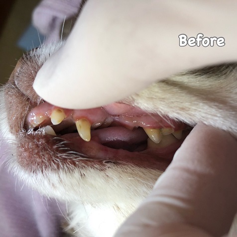 Before Before