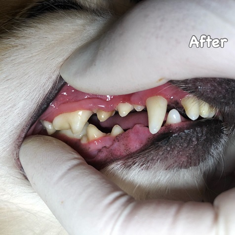 After After