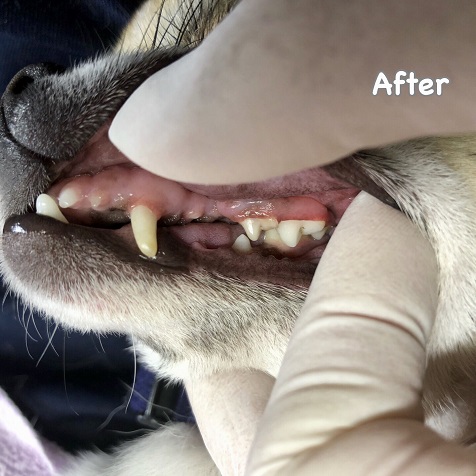 After After