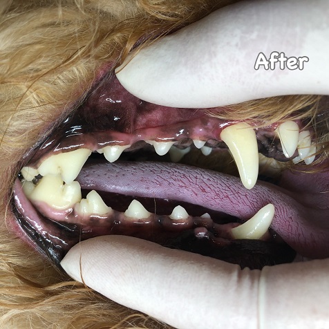 After After