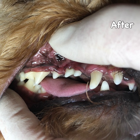 After After