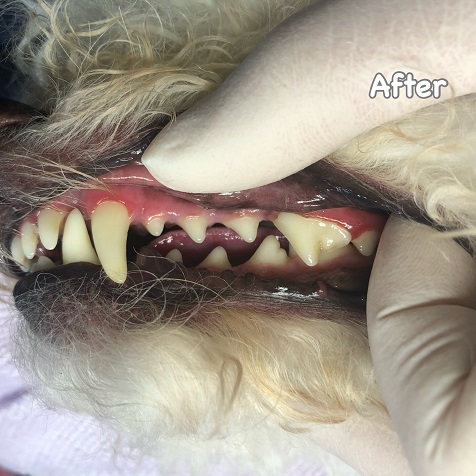 After After