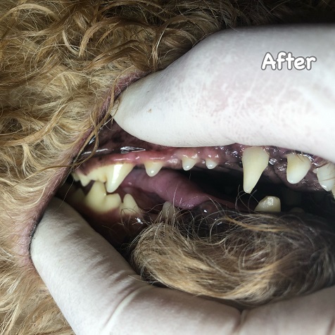 After After