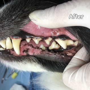 After After