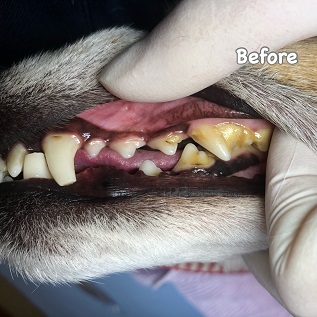 Before Before