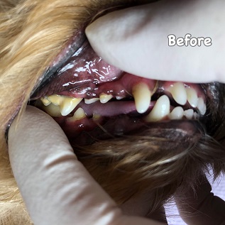 Before Before