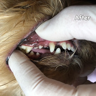 After After
