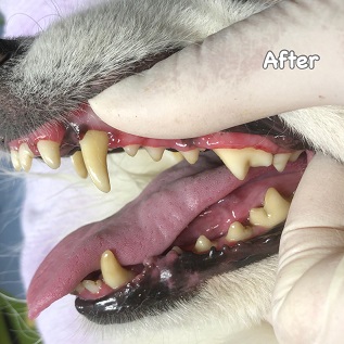 After After