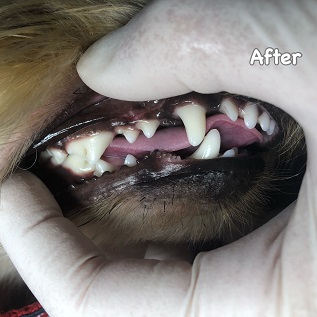 After After