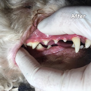 After After