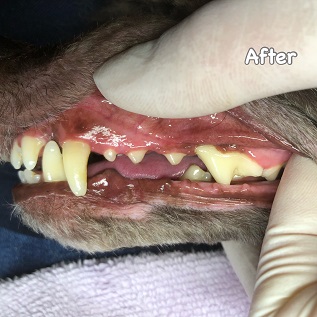 After After