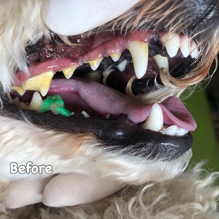 Before Before
