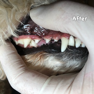 After After