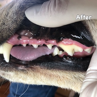 After After