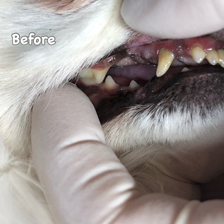 Before Before