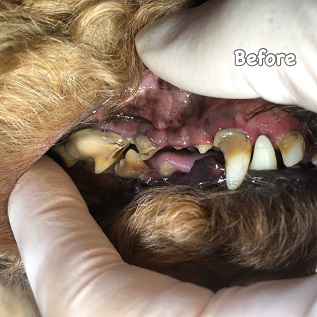 Before Before