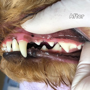 After After