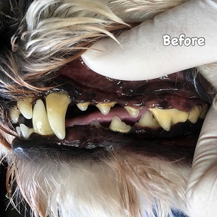 Before Before