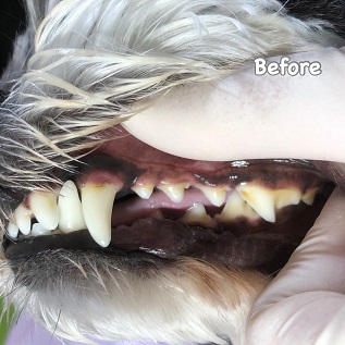Before Before