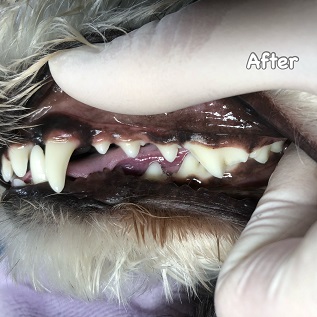 After After