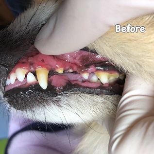 Before Before