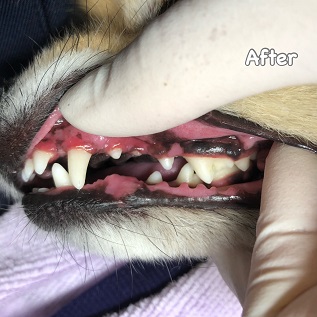 After After