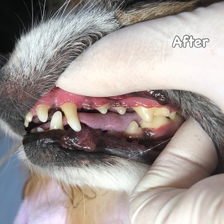 After After