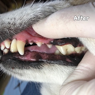 After After