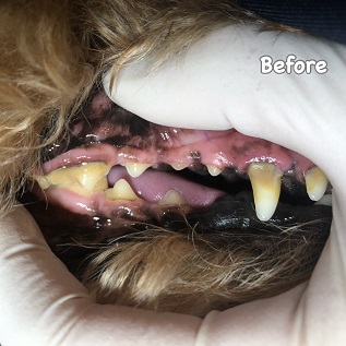 Before Before
