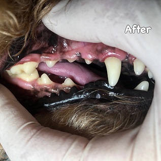 After After