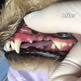 After After