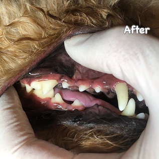After After
