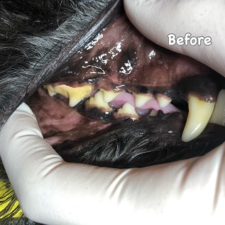 Before Before