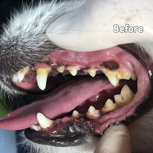 Before Before