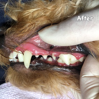 After After