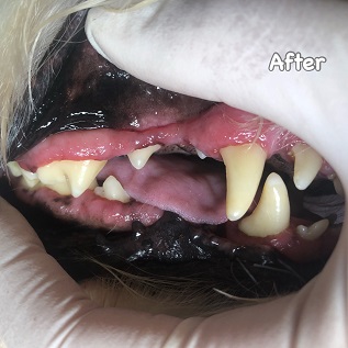 After After
