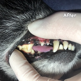 After After