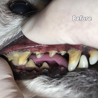 Before Before