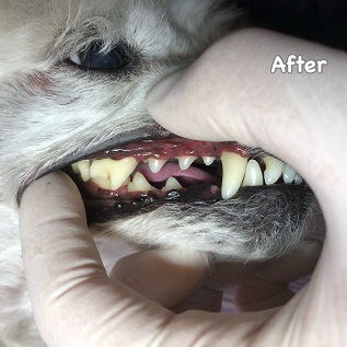 After After