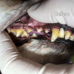 Before Before