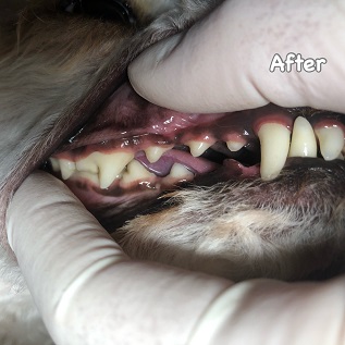 After After