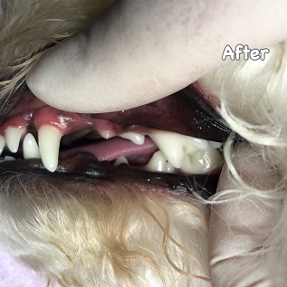 After After