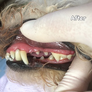 After After
