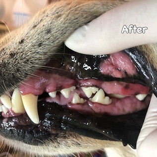 After After