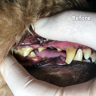 Before Before